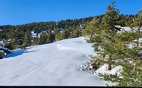 Gréolières Les Neiges